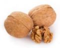 All Nut Trees