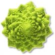 Broccoli , Cauliflower / Romanesco 'Green' (Calabrese)