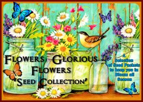 .Ten Packet - Gift Box Collection, 'Flowers Glorious Flowers'