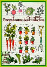 .Ten Packet - Gift Box Collection, 'Greenhouse Growing'