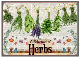 .Ten Packet - Gift Box Collection, 'Herb Seed Selection'