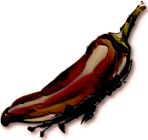 Chilli Pepper , Hungarian Black  (50cm Bush)
