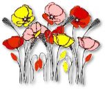 Flowers , Poppy Mix - The James 'Mixed Poppy' Collection